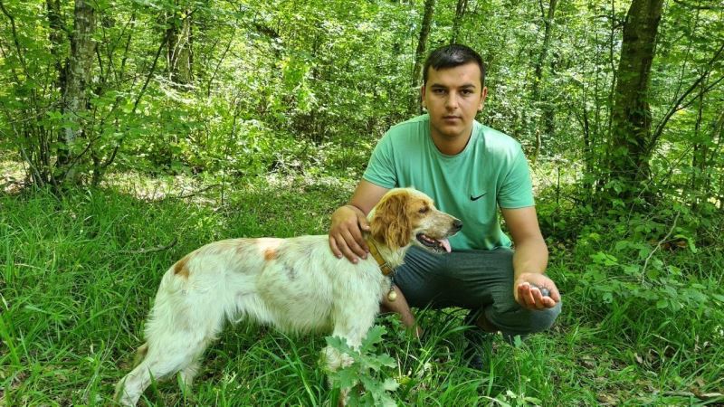 Kilosu iki bin Euro’ya satılan trüf mantarını radar köpekler buluyor