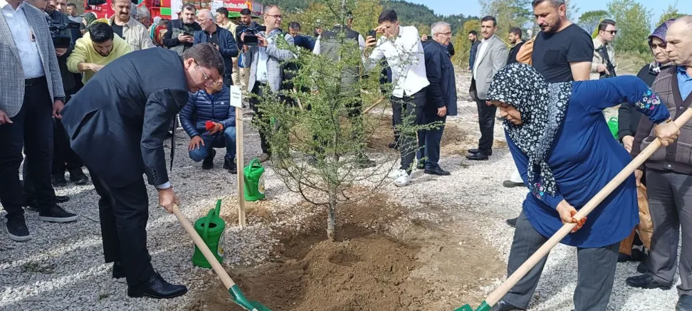 Şehit olan 43 madenci için fidan dikildi.