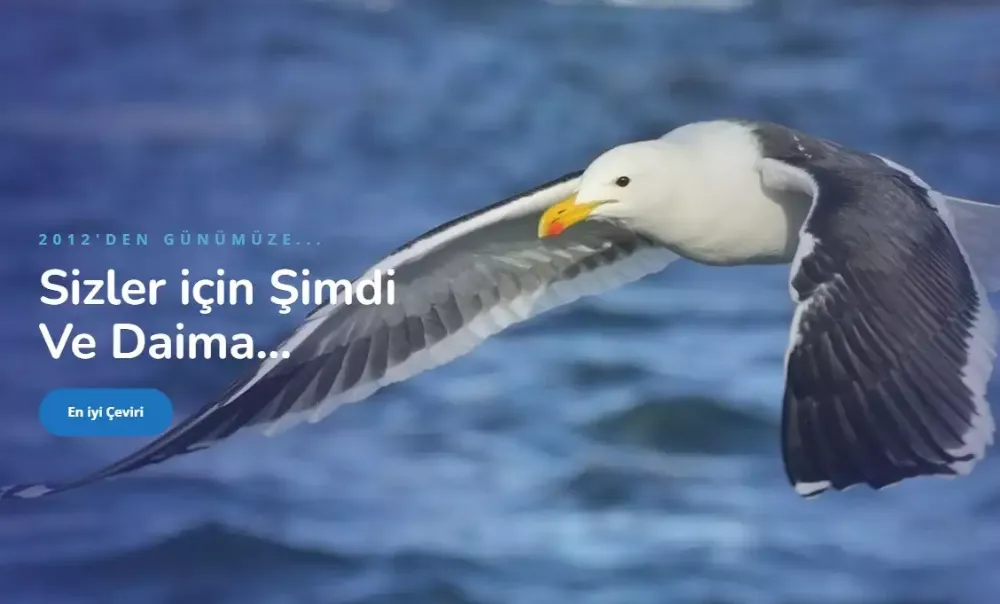 İngilizce ve Almanca Tercüme Fiyatları