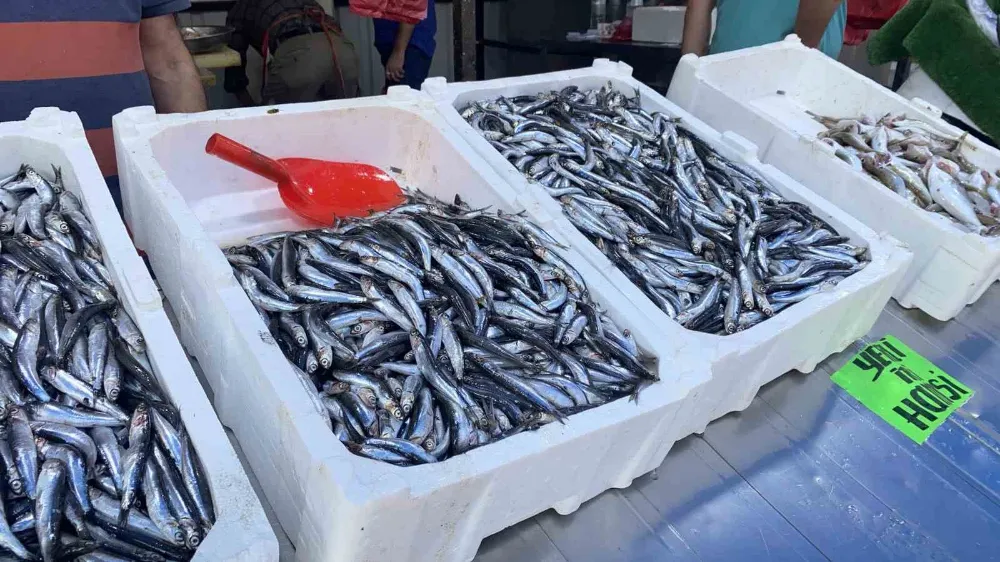Balık fiyatları artınca tezgahlar boş kaldı