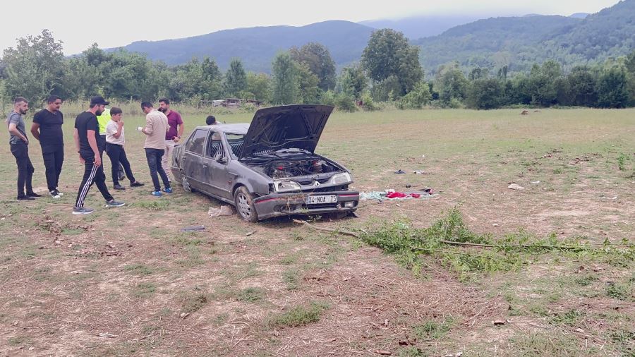 Hatalı sollama yaptı, araziye uçtu, 4 yaralı