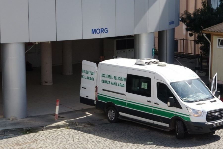 Fındık toplarken kalp krizi geçirip öldü