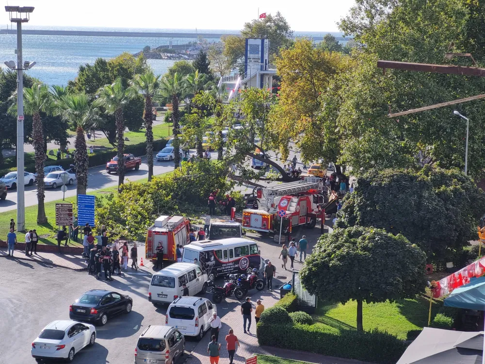 Rüzgar asırlık çınarı yerinden söktü, otomobilin üzerine devrildi