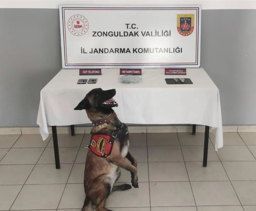 Jandarmadan uyuşturucu operasyonu