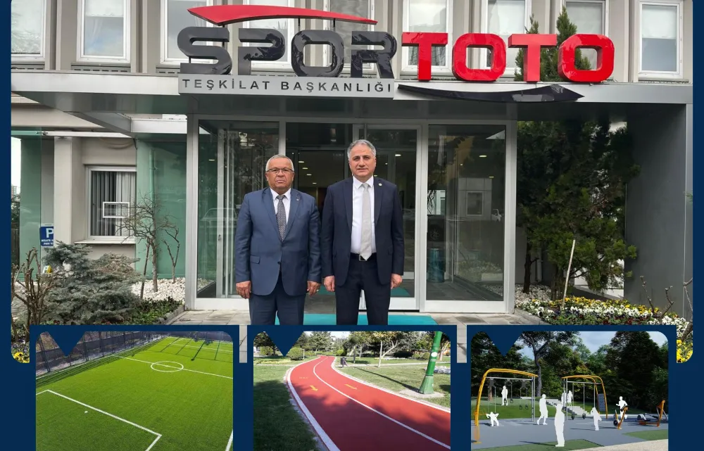 Ormanlı