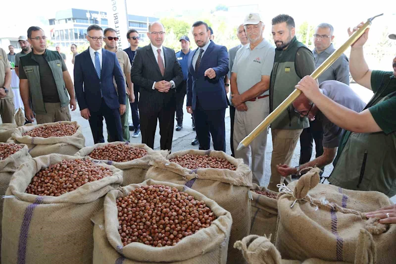 TMO Giresun’da ilk fındığı 135,96 liradan aldı
