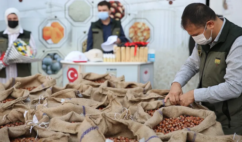 Fındık alım fiyatı belirlendi