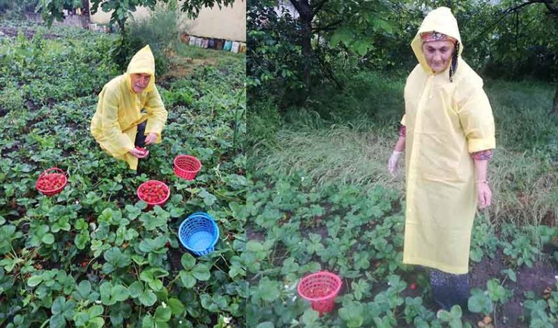 Tarım Müdürünü göreve çağırdı “Köylüye destek çıkın”