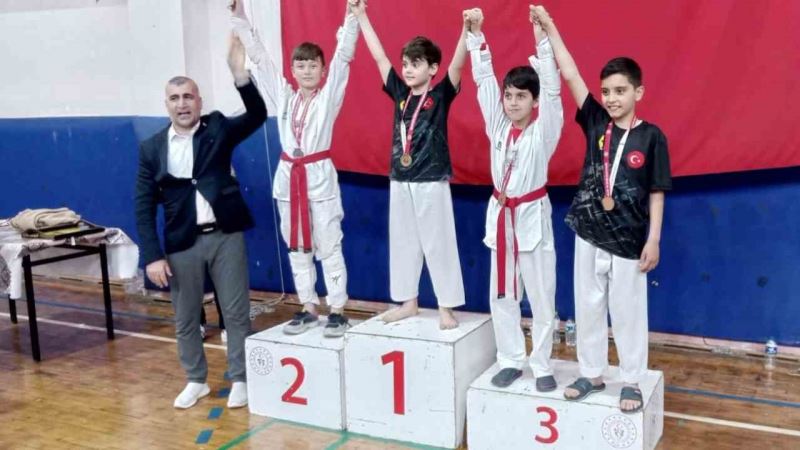 Taekwondo şampiyonasına Alaplı damgası